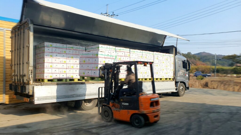 급식용 우거지 납품 배송